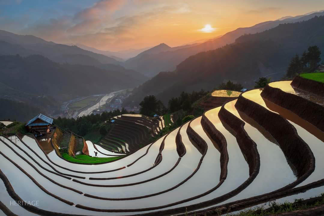 Mu Cang Chai water pouring season